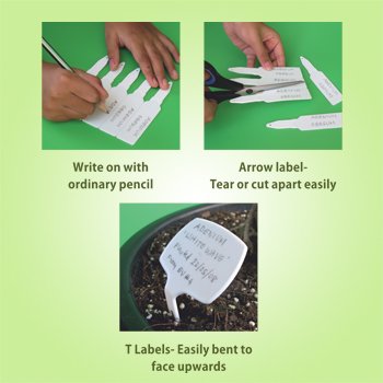 Plant Labels