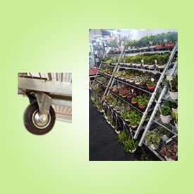 Plant Display Trolly