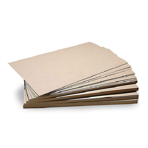 Seed Germination Paper