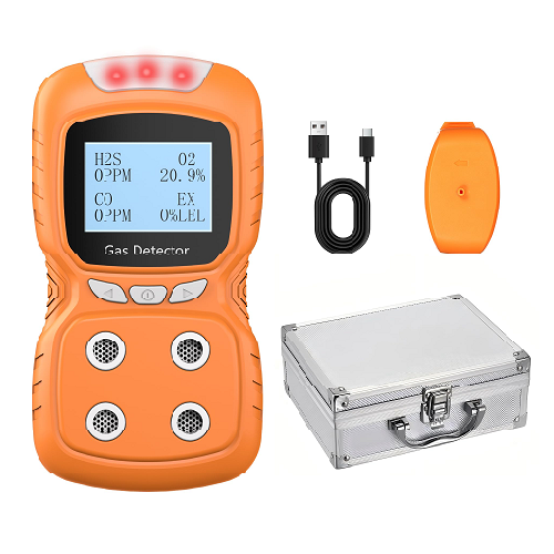 Online Dual Gas detector for Oxygen and Flammable